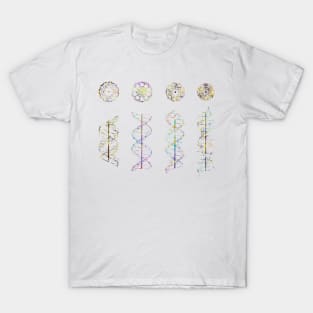 A-,B-,C- and Z-DNA T-Shirt